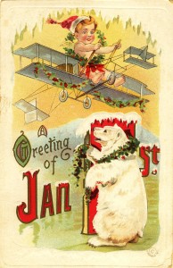 New Years Postcard - bear watching a plane