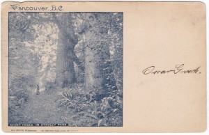 1899 Vancouver, BC picture postcard (front)