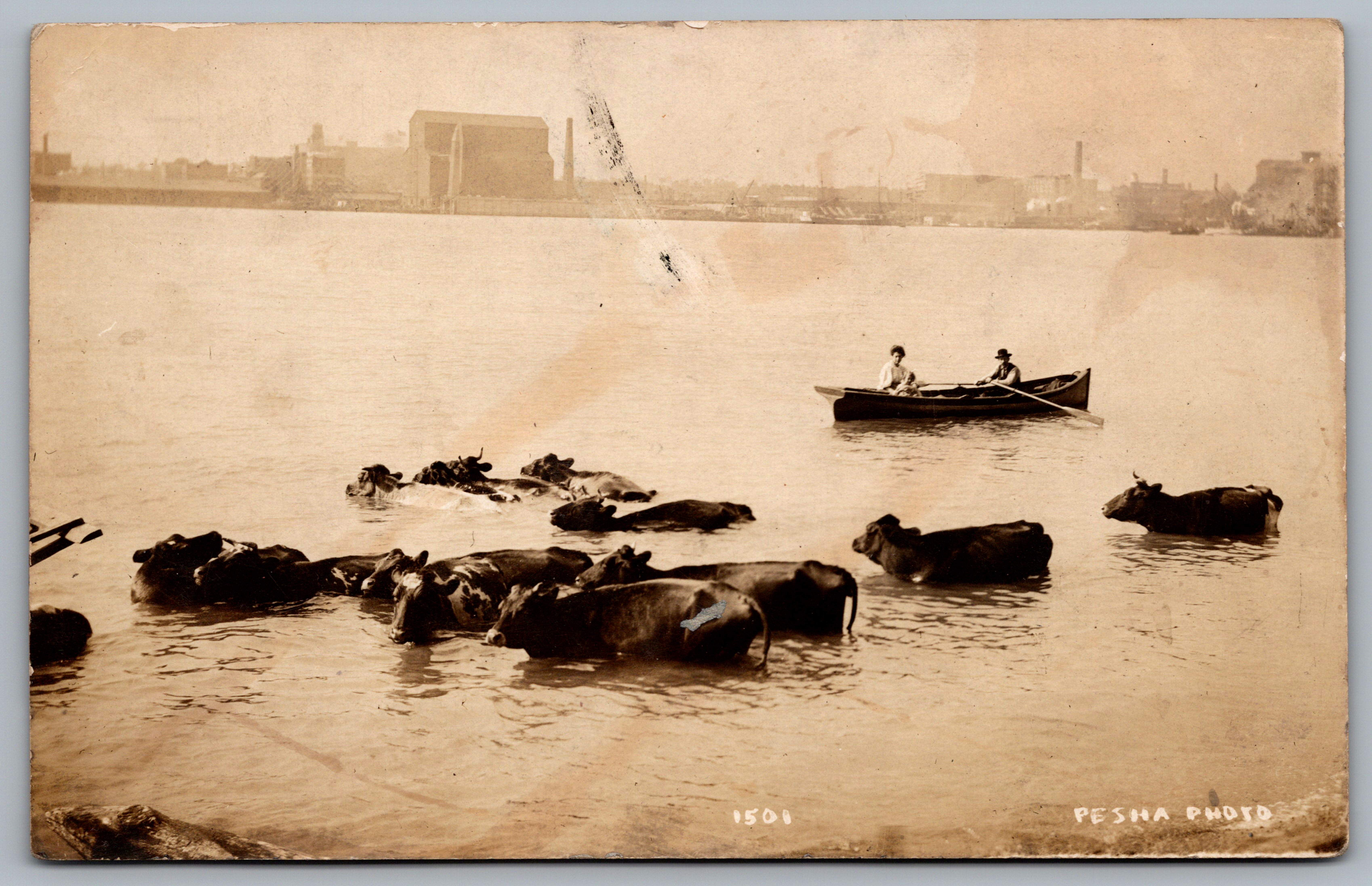 Samir Budhdeo postcard